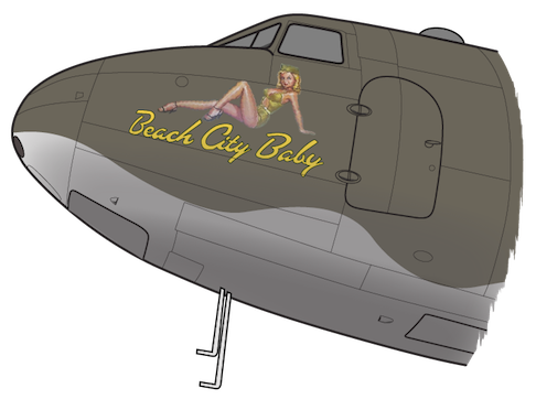 C-53 Beach City Baby