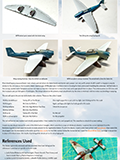 Model projects